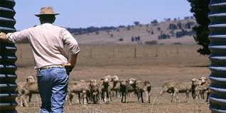 trouver du travail dans les fermes en australie trouver du travail dans les fermes en australie