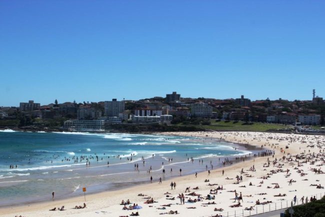 renouveler son whv renouveler son whv