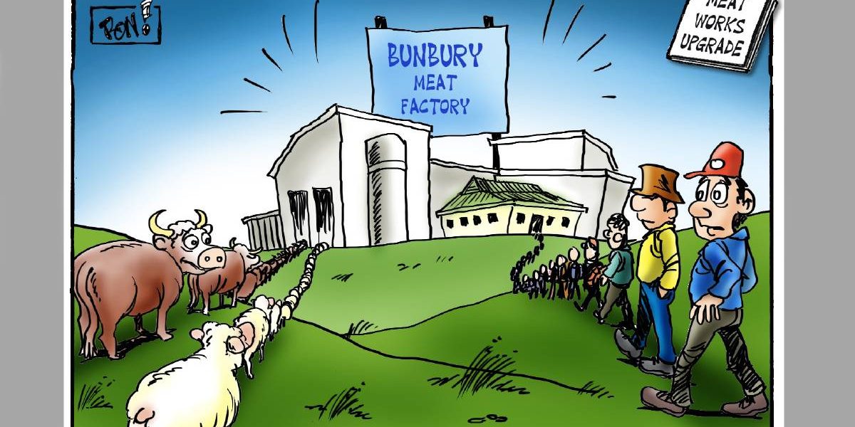 travailler dans un abattoir en australie travailler dans un abattoir en australie