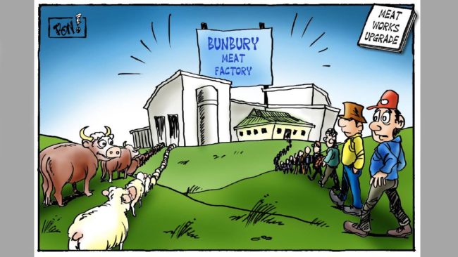 travailler dans un abattoir en australie travailler dans un abattoir en australie