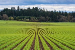 trouver du travail en australie avant de partir