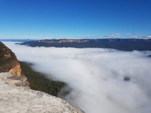 tour blue moutains sydney