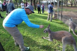 travailler dans le tourisme en australie