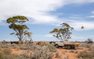 4x4 outback australie